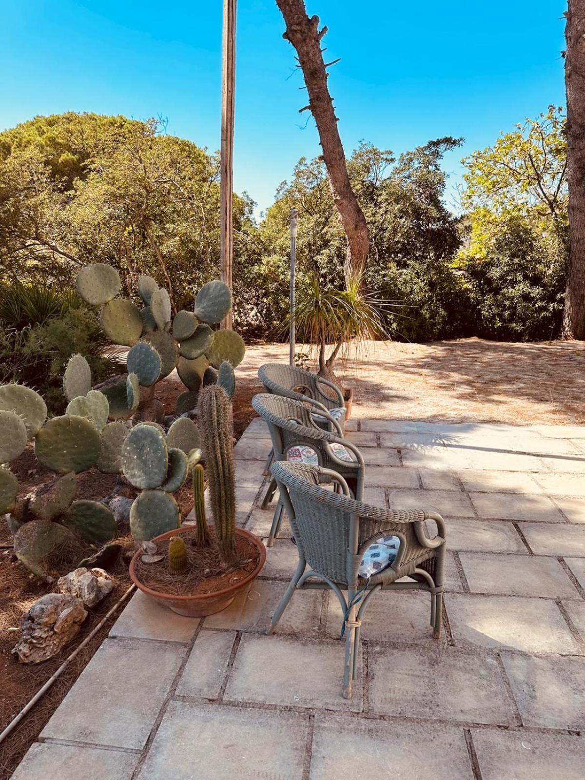 Casa Vacanze Capurre "Trulli E Pajare A Due Passi Dal Pizzo" Gallipoli Exteriér fotografie
